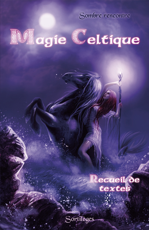 [9791091228046] MAGIE CELTIQUE - SOMBRE RENCONTRE