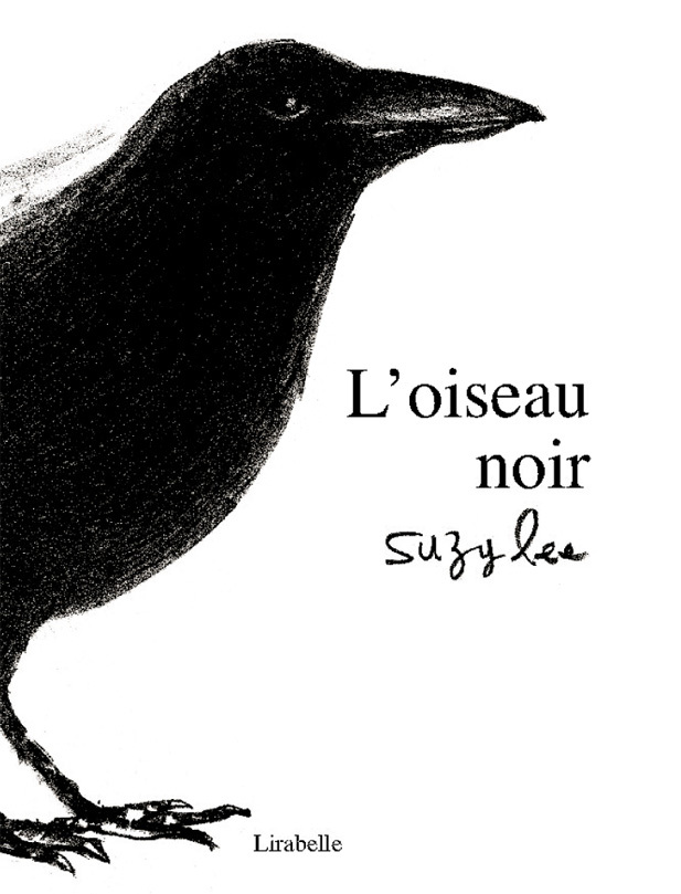OISEAU NOIR