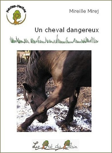 [9782915355307] UN CHEVAL DANGEREUX