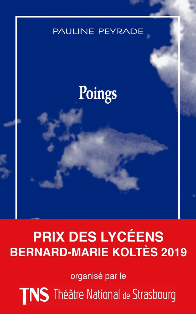 [9782846815383] Poings