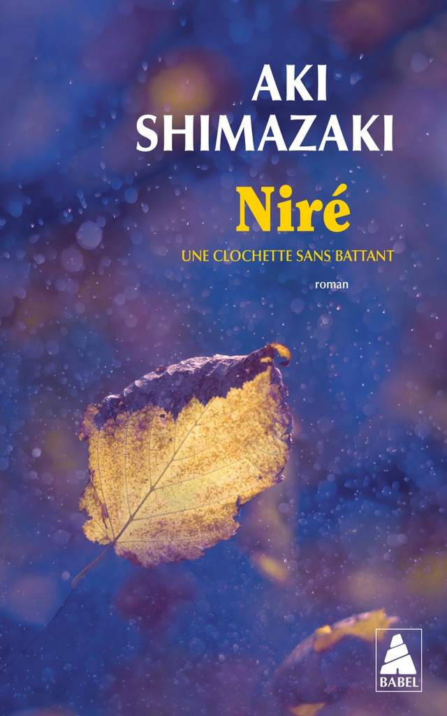 [9782330221041] Niré