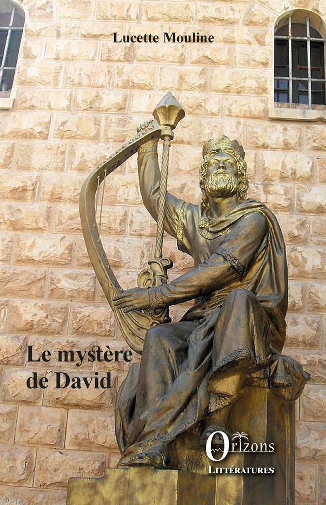 [9791030901535] Le mystère de David
