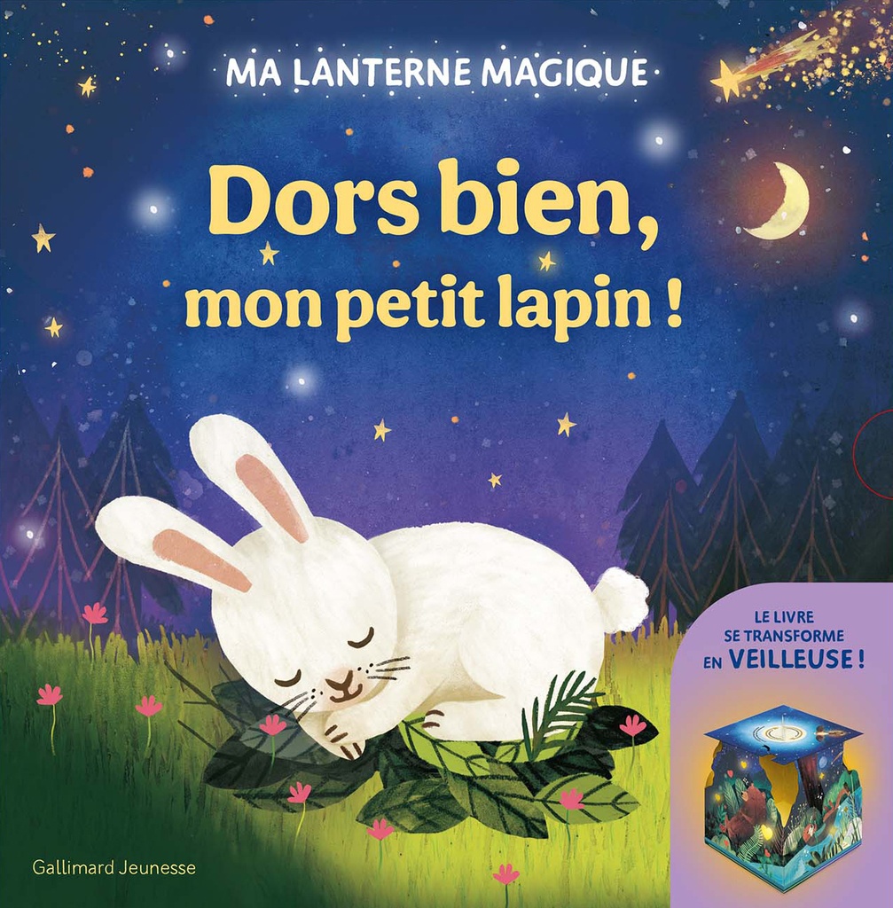 [9782075240062] Ma lanterne magique - Dors bien, mon petit lapin !