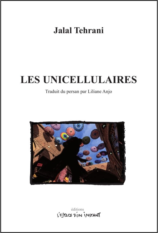 [9782375720035] Les unicellulaires