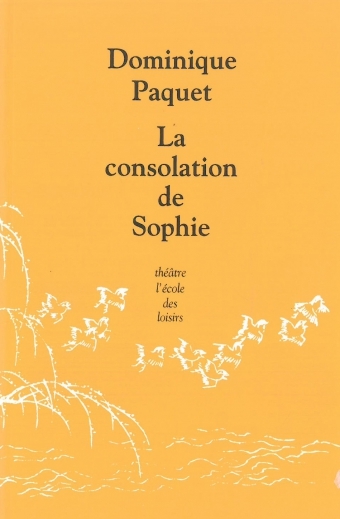 [9782211207058] Consolation de Sophie (La)
