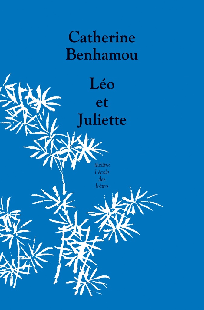 [9782211321464] Léo et Juliette