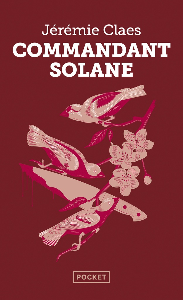 Commandant Solane