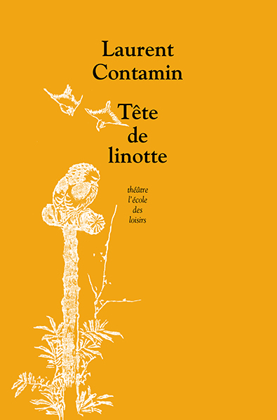 [9782211226424] Tête de linotte