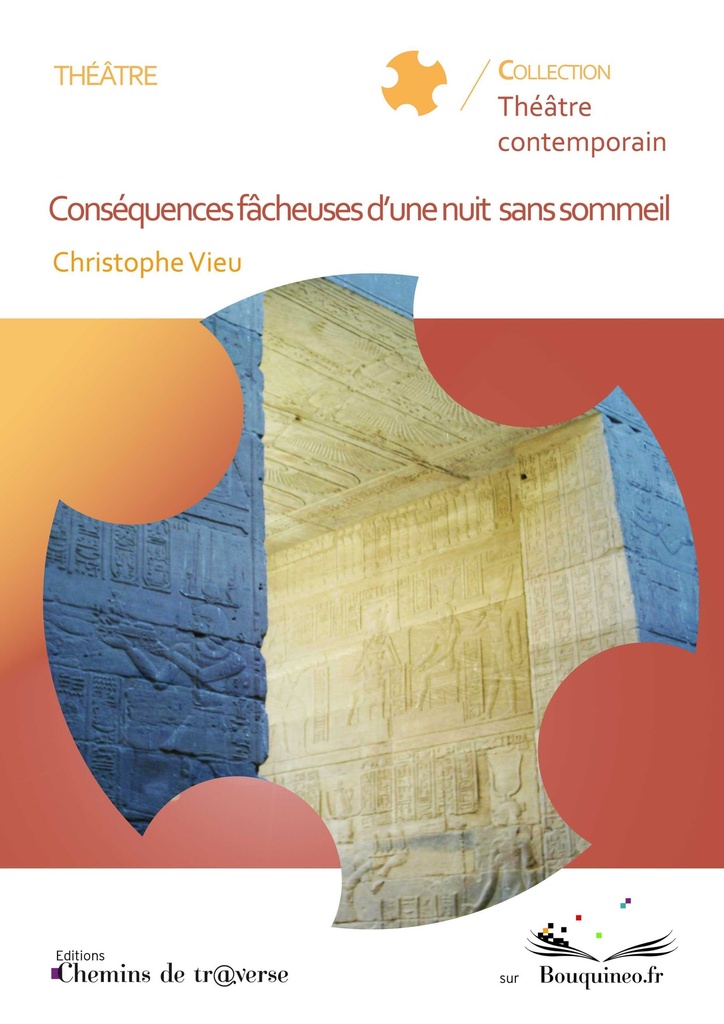 [9782313002209] Conséquences fâcheuses d'une nuit sans sommeil