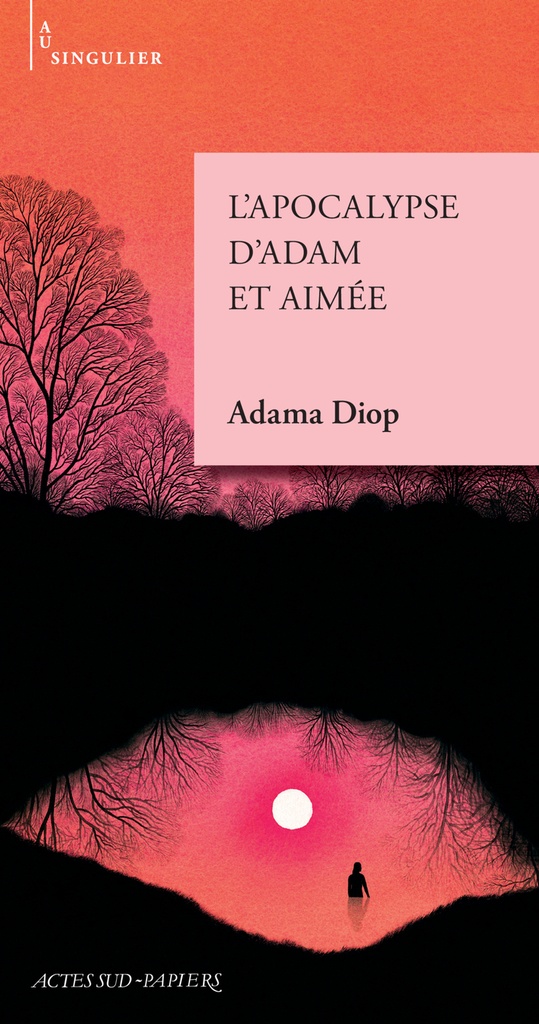 [9782330217891] L'Apocalypse d'Adam et Aimée