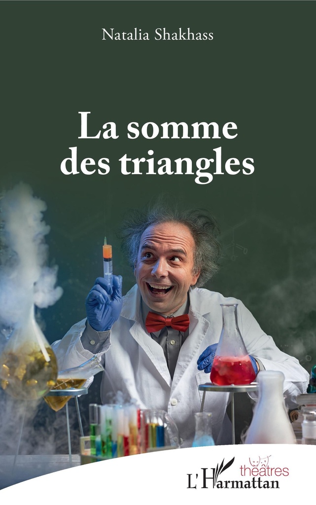 [9782343111308] La somme des triangles