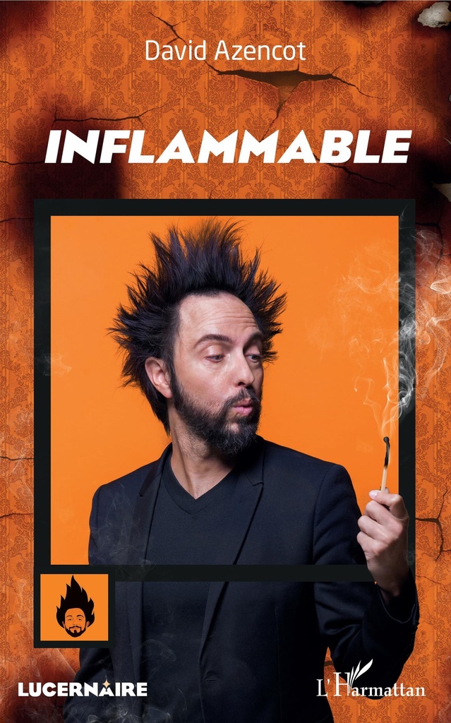 [9782343176314] Inflammable