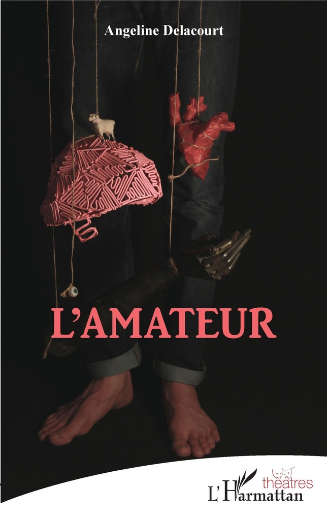 [9782343206004] L'amateur