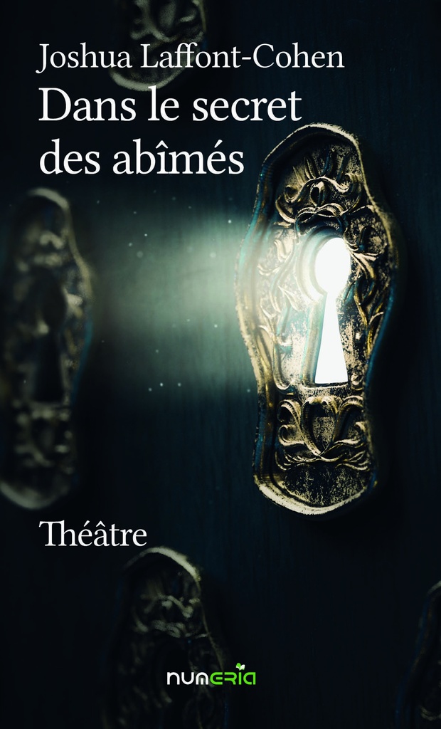 Dans le secret des abîmés
