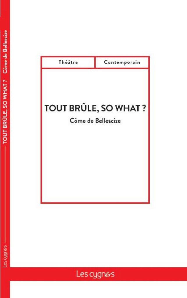[9782369442981] Tout brûle, so what ?