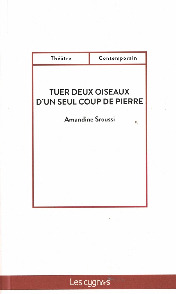 [9782369444138] TUER DEUX OISEAUX D UN SEUL COUP DE PIERRE