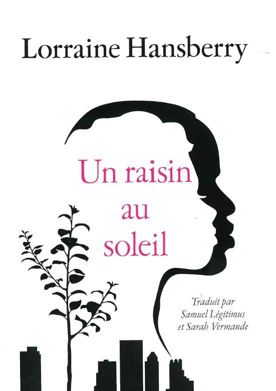 [9782381980287] Un raisin au soleil