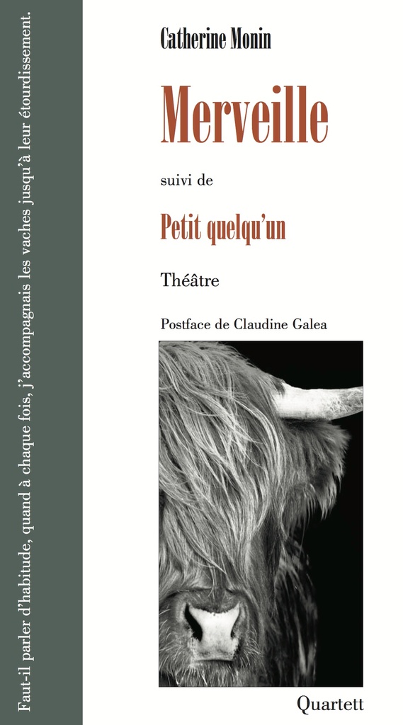 [9782493307217] Merveille suivi de Petit quelqu'un