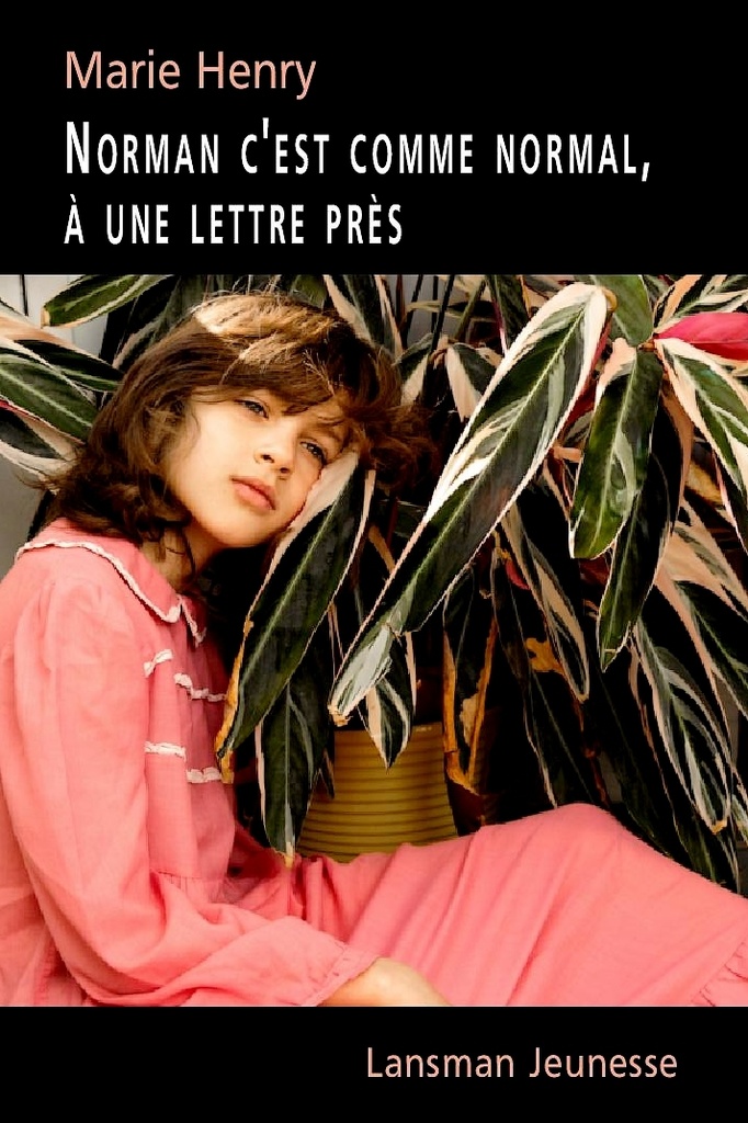 [9782807103566] Norman c'est comme normal, à une lettre près