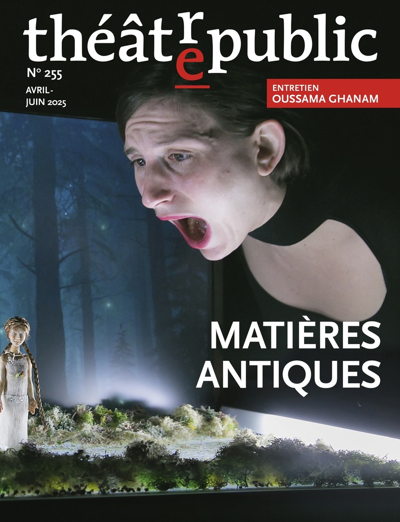 [9782842609696] Théâtre public n 255