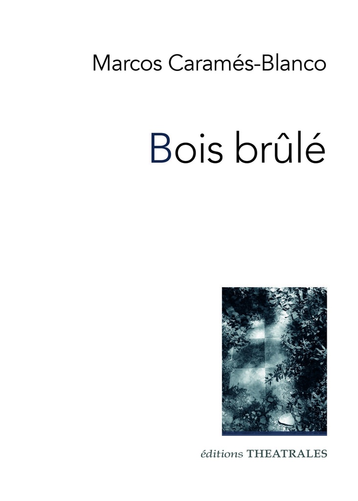[9782842609863] Bois brûlé